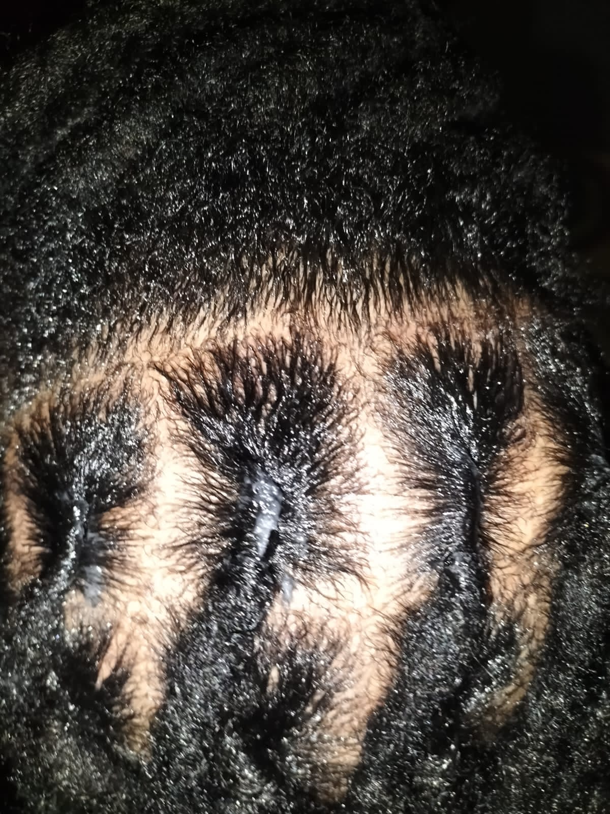 Dreadlock maintenance